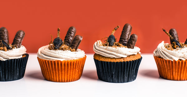 Cricket Flour + Pumpkin Spiced Halloween Cupcakes with Scorpions