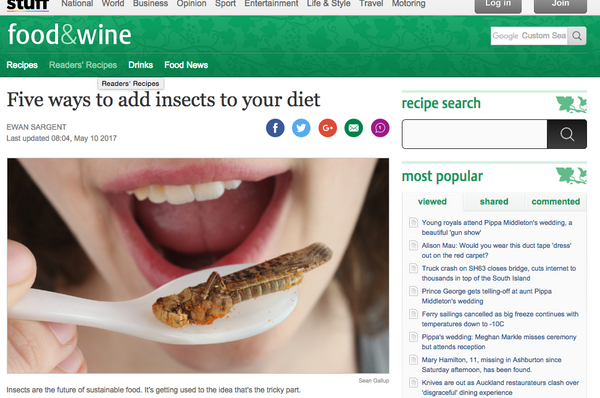 stuff.co.nz - Five ways to add insects to your diet