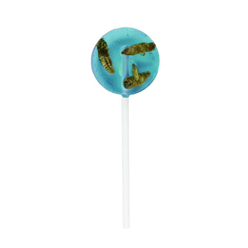 Blueberry Cricket Lollipop 20g