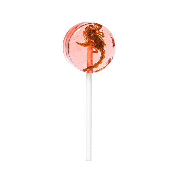 Tropical Scorpion Lollipop 20g