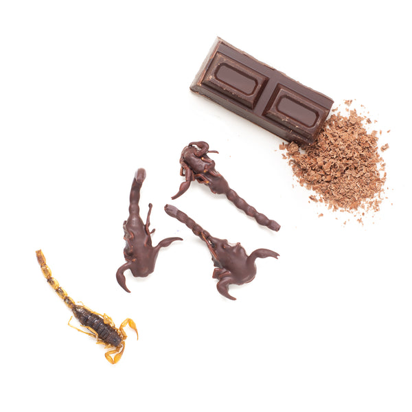 Chocolate Coated Scorpions 10g