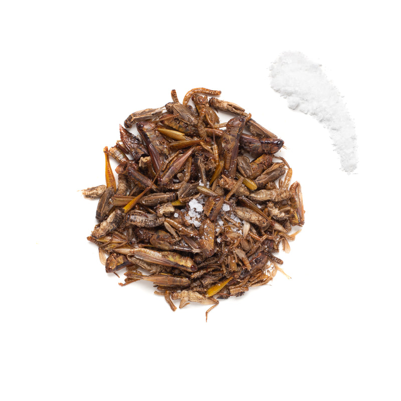 Lightly Salted Insect Mixture 15g