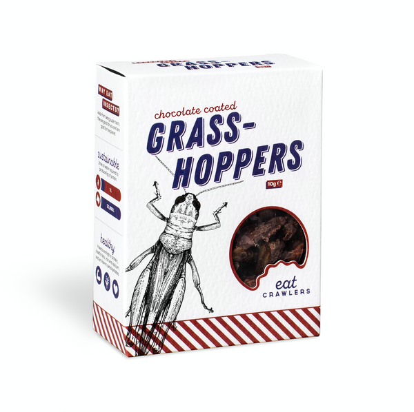 Chocolate Coated Grasshoppers 10g