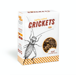 Lightly Salted Crickets 20g
