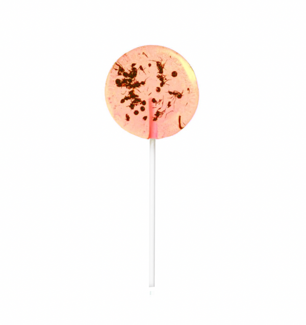 Tropical Ant Lollipop 20g