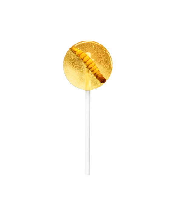 Tropical Mealworm Lollipop 20g